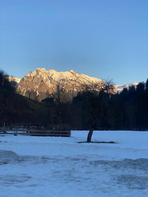 Gruenes Stueble Allgaeuer Alpen Sonthofen Esterno foto
